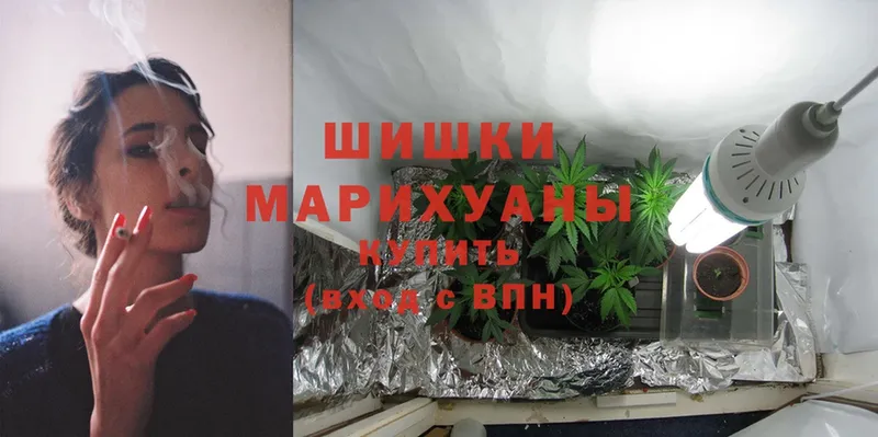 MEGA маркетплейс  Барыш  Марихуана OG Kush 